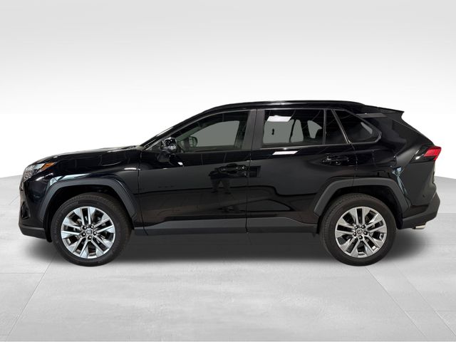 2023 Toyota RAV4 XLE Premium Black at Davis Toyota of Orangeburg