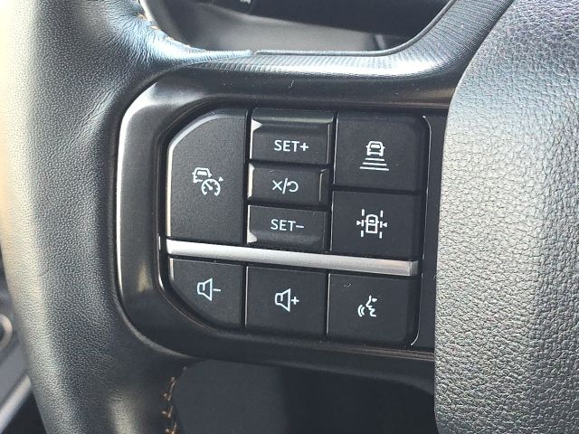 2024 Ford F-250SD Platinum:168065A2