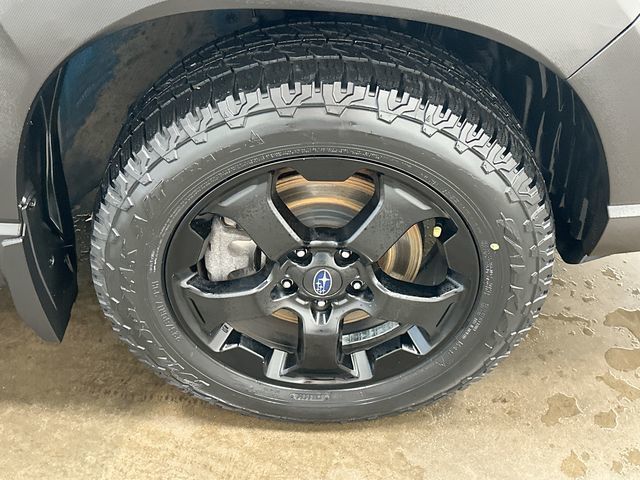 2023 Subaru Forester Wilderness Blue at Rafferty Subaru
