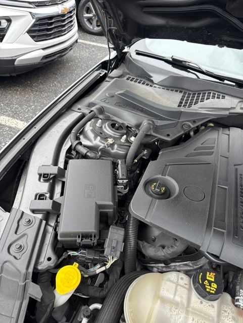 2019 Ford Mustang GT Gray at Grove City Ford