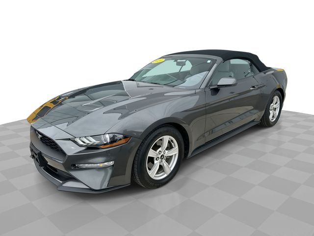 Gray 2020 Ford Mustang EcoBoost Convertible RWD Convertible Rear-Wheel Drive Automatic