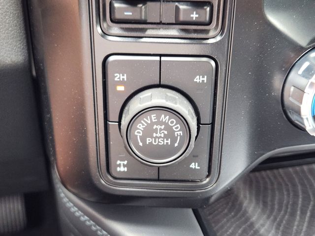 2025 Avalanche Ford F-350SD Platinum 4X4 Truck