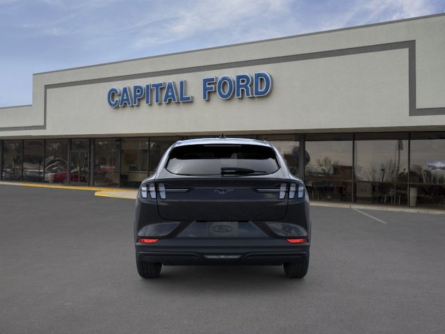 New 2026 Black Ford Premium image 5