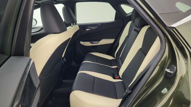 2023 Lexus NX 250 Premium Green at DeMontrond Auto Country