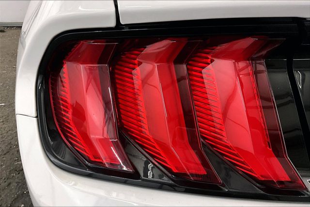 2019 Ford Mustang GT White at Bob Ruth Ford