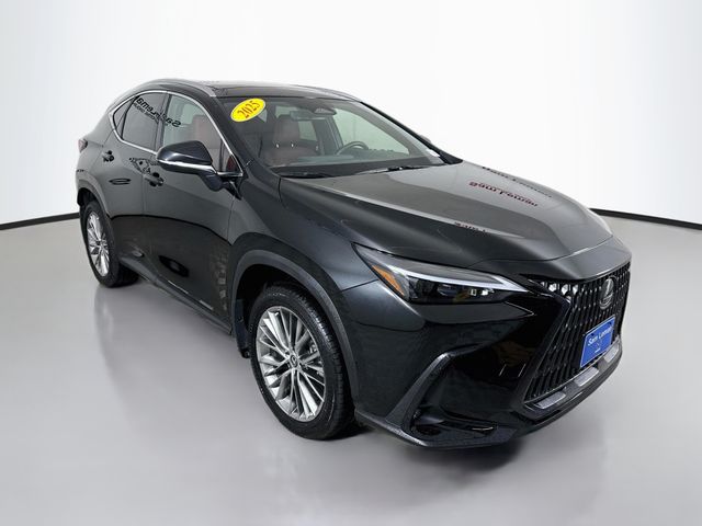  2025 Lexus NX 350 Premium AWD   