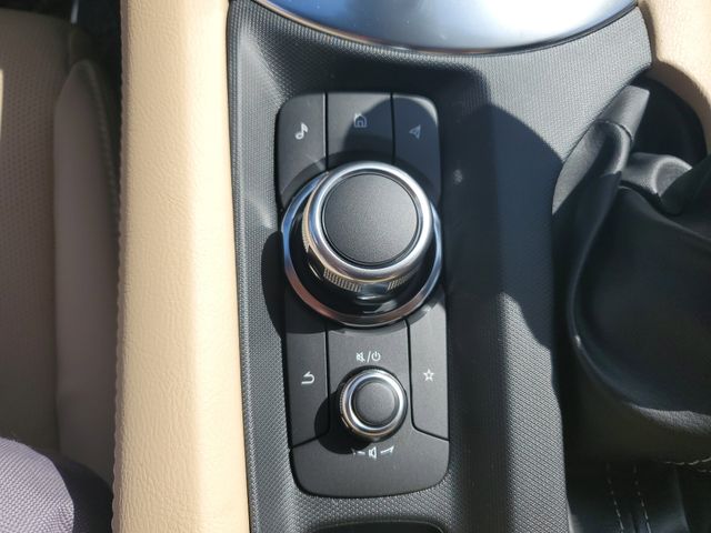 Miniatura 10