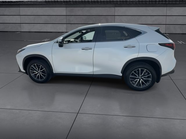 Used 2025 Lexus NX SUV
