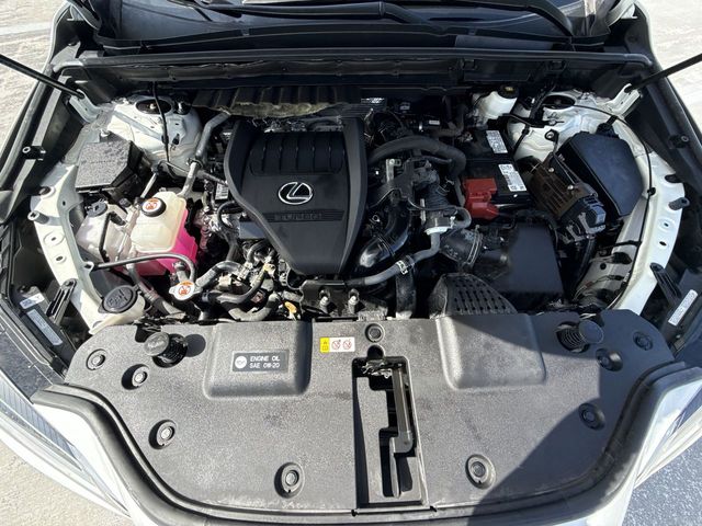 Used 2024 Lexus NX SUV