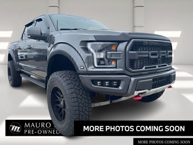 Gray (Magnetic) 2019 Ford F-150 Raptor SuperCrew 4WD Pickup Truck Four-Wheel Drive Automatic