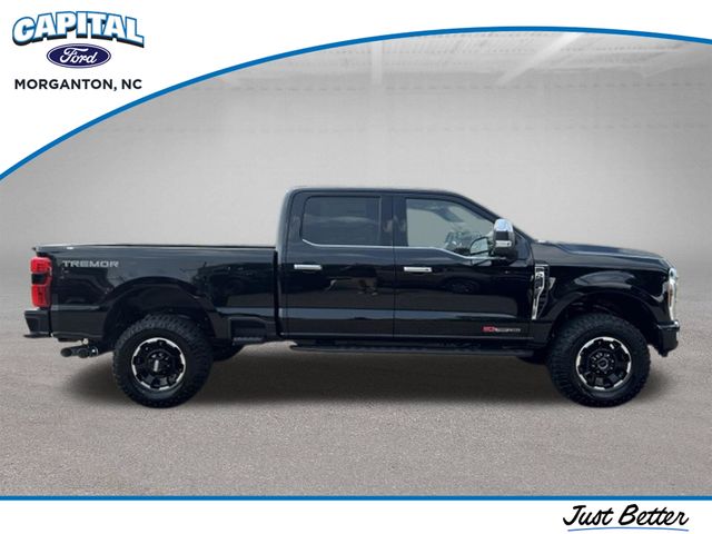 New 2026 Black Ford Platinum image 9