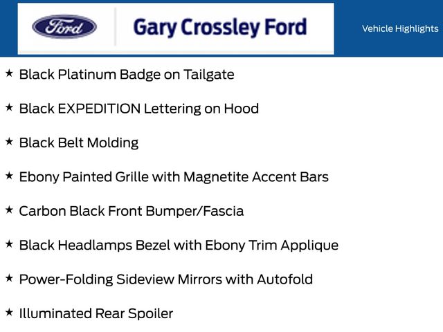 New 2027 Gray Ford Platinum image 6