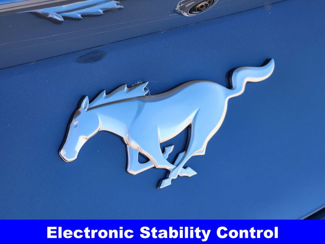 2025 Ford Mustang EcoBoost Premium photo