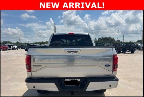 2015 Ford F-150 Platinum - 1