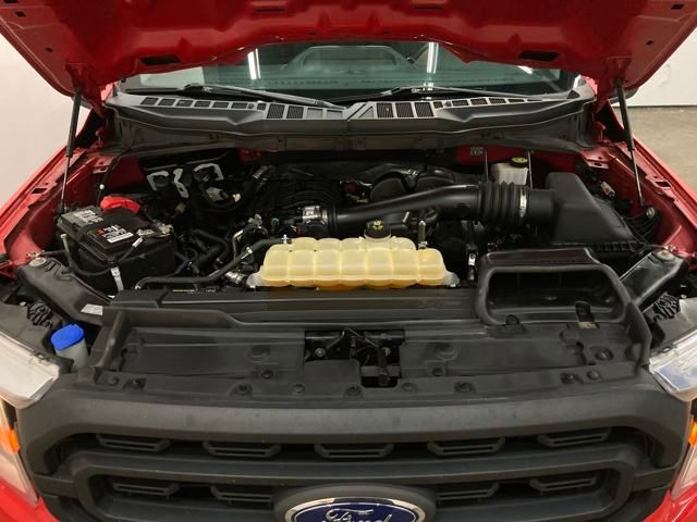 2021 Ford F-150 XL photo