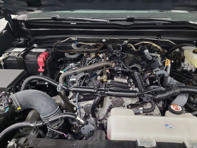 2025 – Toyota – Tacoma