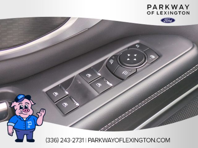 New 2026 White Ford Platinum image 12