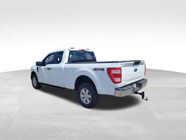 2023 Ford F-150 XL 3