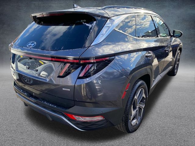 2023 Hyundai Tucson Limited 28