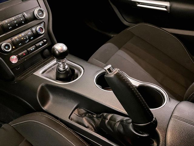 2019 Ford Mustang GT Gray at Grove City Ford