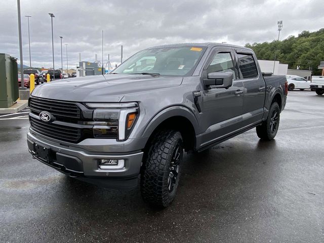 2024 Ford F-150 Platinum 8