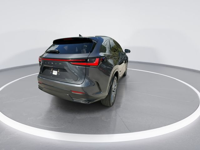 2023 Lexus NX - $41,898