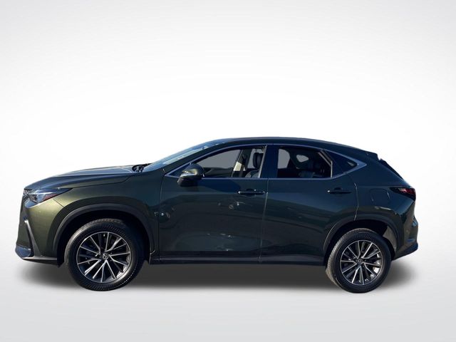 2022 Lexus NX  2