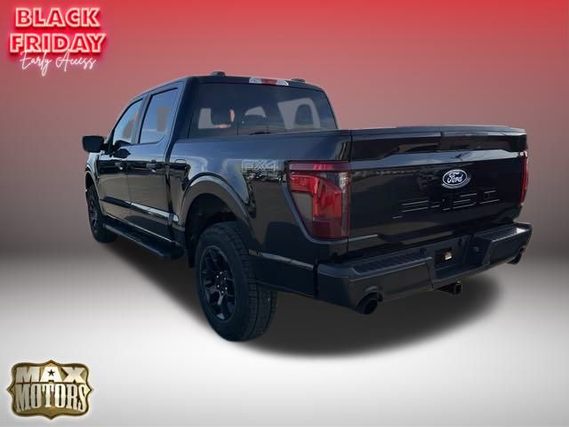 2024 Ford F-150 STX 10