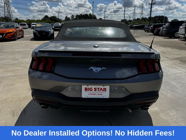 2024 Ford Mustang EcoBoost Premium Gray at DeMontrond Mazda