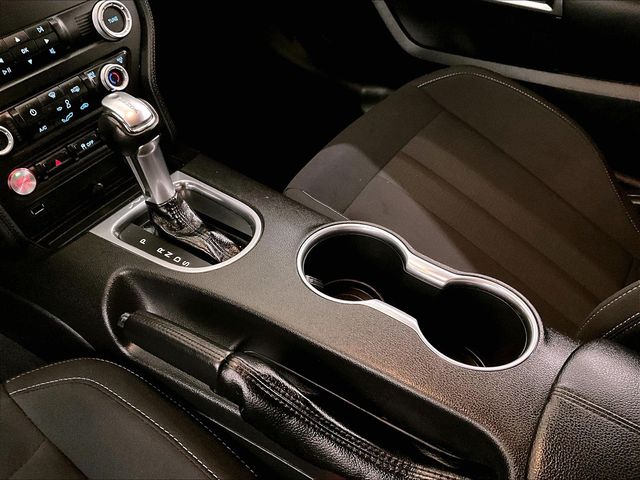 2019 Ford Mustang GT Red at Grove City Ford