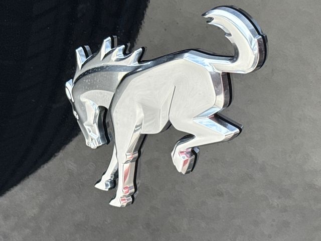 New 2026 Black Ford Base image 10