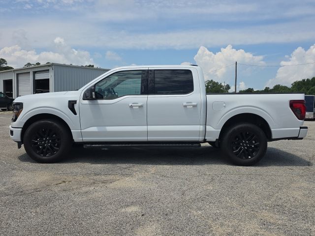 2024 Ford F-150 XLT:B02484