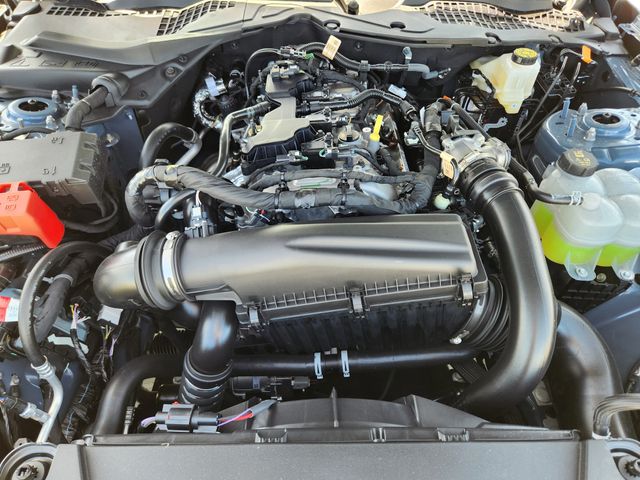 2025 Blue Ford Mustang EcoBoost RWD Coupe