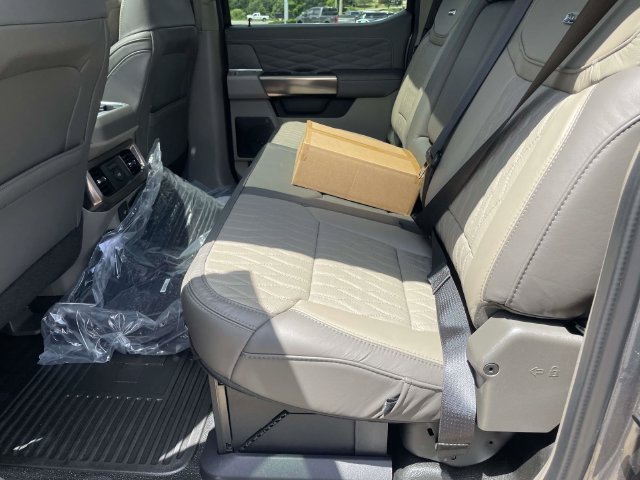 New 2026 Gray Ford Platinum image 9
