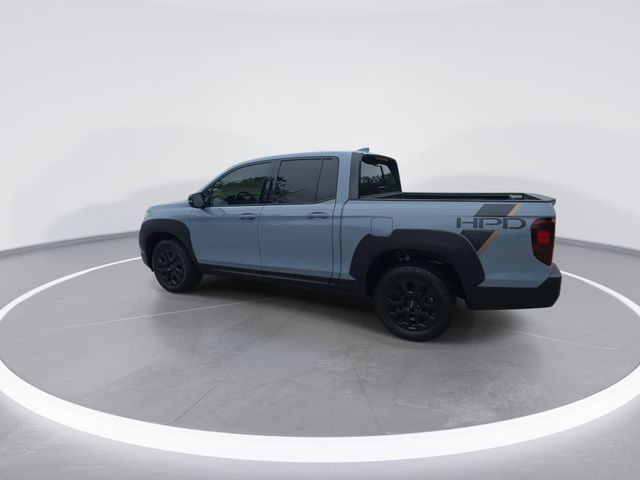 Used 2023 Gray Honda Black Edition image 5