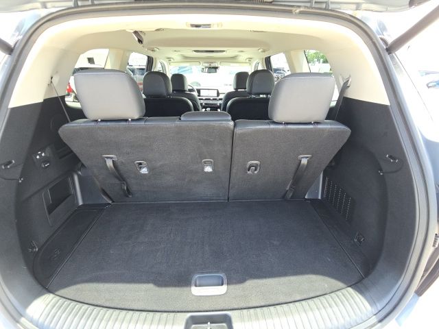 2025 Kia Telluride EX:46233A