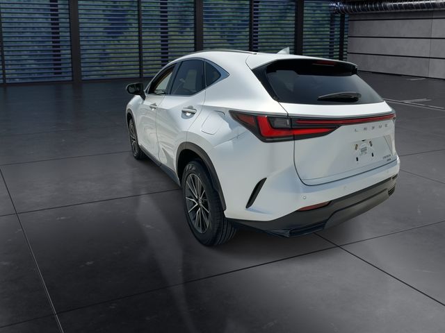 Used 2024 Lexus NX SUV