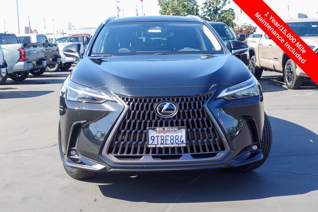 used 2025 Lexus NX car, priced at $59,200