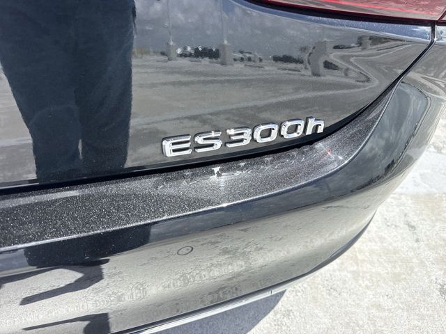 Used 2025 Lexus ES Sedan