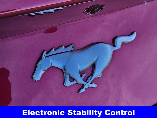 2025 Ford Mustang EcoBoost Premium photo