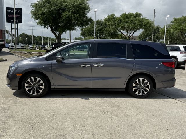 2024 Honda Odyssey EX-L Gray at DeMontrond Gulf Freeway