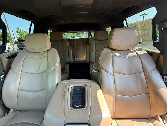 2020 Cadillac Escalade Platinum Edition photo