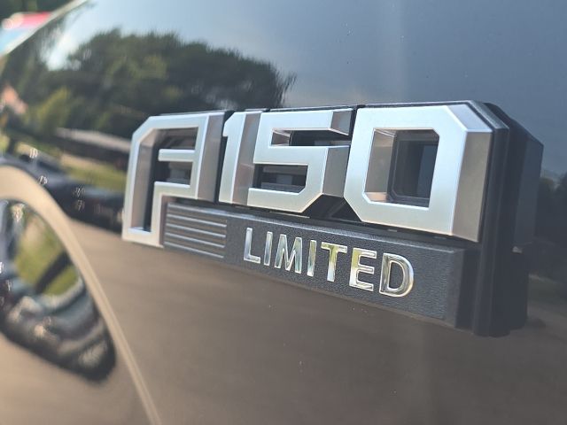 Photo of 2019 Ford F-150 Limited in Dallas, GA - 9,  2019 Ford F-150 Limited:166801A