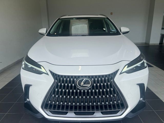 2025 Lexus NX 350 Premium White at Westside Lexus