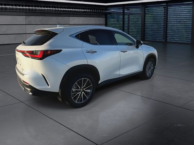 2025 Lexus NX - $47,998