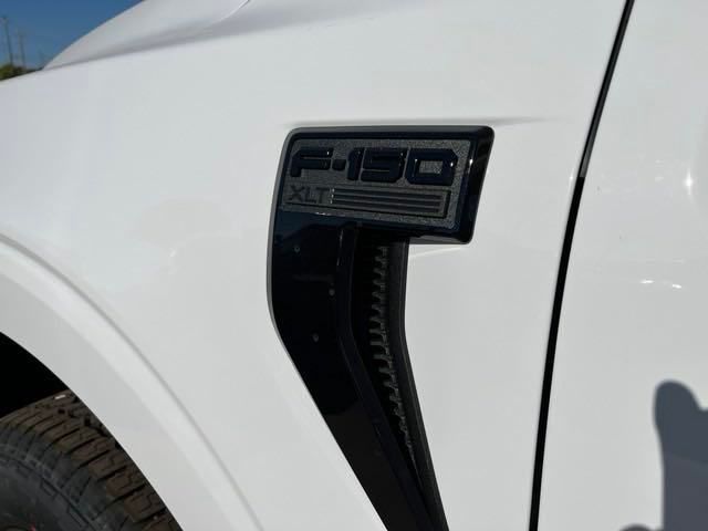 2024 Ford F-150 XLT 4