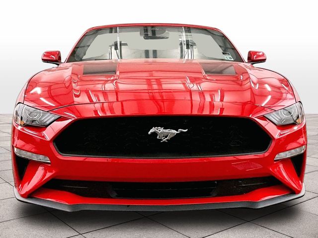 2023 Ford Mustang EcoBoost - 2