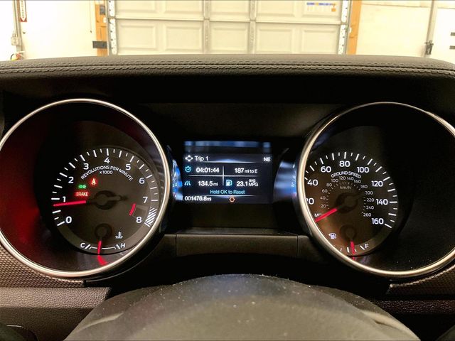 2019 Ford Mustang GT Red at Grove City Ford