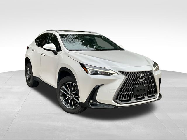 2024 Lexus NX Hybrid 350h AWD
