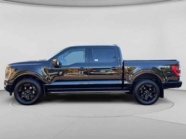 Used 2023 Black Ford Platinum image 2